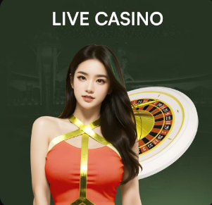 世界杯球衣分布：48队共13品牌，阿迪、耐克和彪马瓜分77%份额